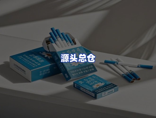专业团队